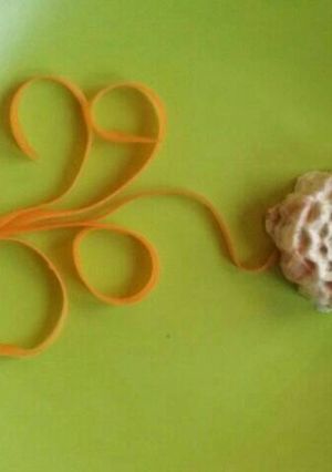 A picture of Salmon flower.