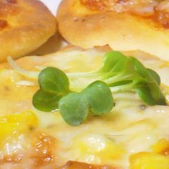 A picture of Easy Delicious Instant Pizza Sauces.