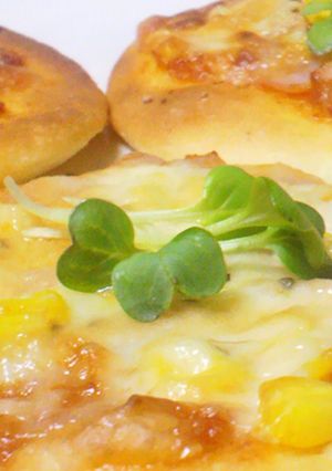A picture of Easy Delicious Instant Pizza Sauces.