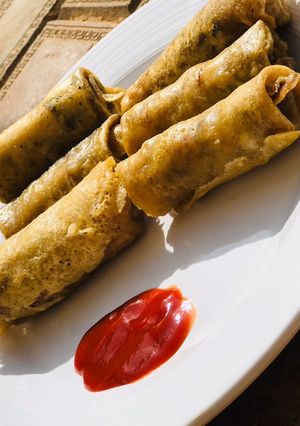 A picture of Vegetable Spring Rolls.