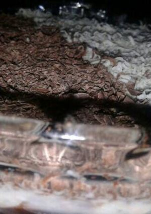 Foto resep Puding Coklat Pirex