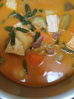 Foto resep Lodeh sayur & daging sapi