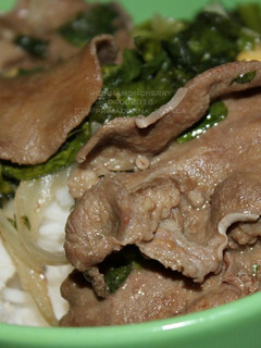 A picture of Simple Gyutan Don.