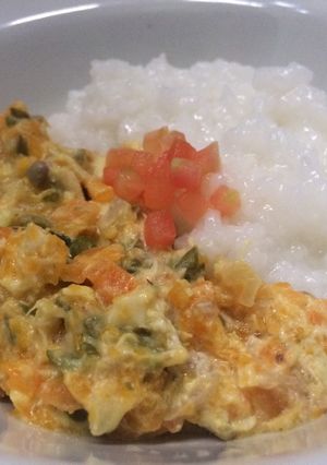 Foto resep Mpasi Nasi Kari Ayam