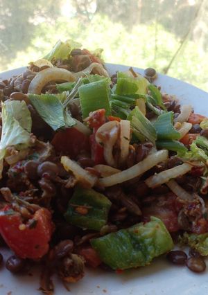 Una foto de Ensalada completa de Lenteja, Carne y más