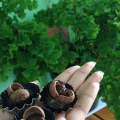 รูปของ Crunchy brownies