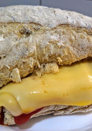 Una foto de CHAPATA con ORÉGANO, rellena con Pollo, y Queso Holandés...!