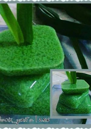 Foto resep Puding lumut