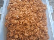 Gambar bakpao daging babi
