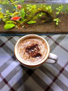 Foto resep Hot Cappuccino with Cinnamon