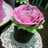 Flower Buttercream