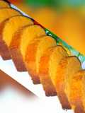 Orange muffin bread