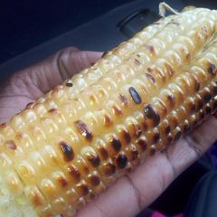 A picture of Roasted Maize.