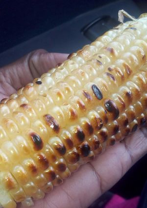 A picture of Roasted Maize.
