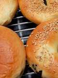 Easy Bagels Recipe
