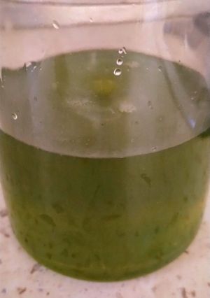 Foto di Sciroppo alla menta