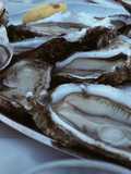 Ostras