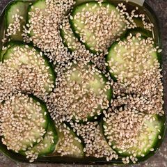 A picture of Quick pickled cucumber - vegan.