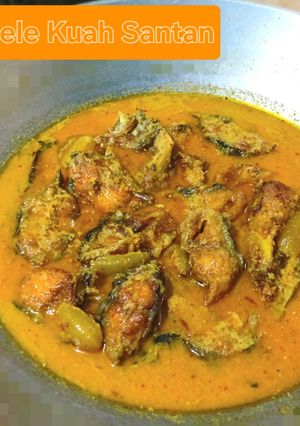 Foto resep 110. Lele Kuah Santan