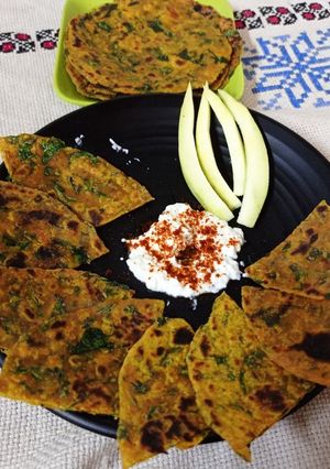પાલક પનીર પરોઠા (Palak Paneer Paratha Recipe In Gujarati) રેસીપી મુખ્ય ફોટો