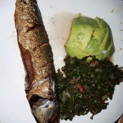 A picture of Mack Fish.