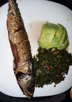 A picture of Mack Fish.