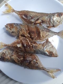 Foto resep Ikan Kembung Goreng Metode Marinasi