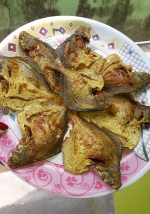 A picture of পমপ্লেট মাছ ভাজা.