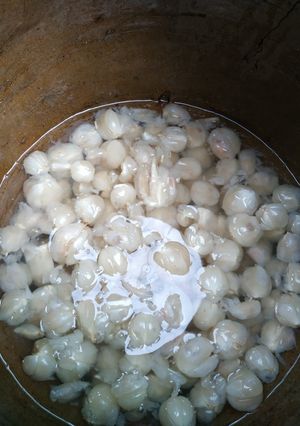 รูปของ นำ้ส้มสายชูหมักลองกอง