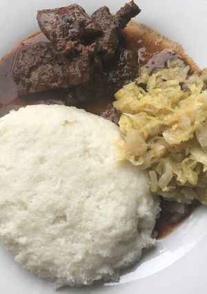 A picture of Pap and beef liver.