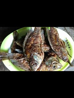 Foto resep Ikan mujair goreng