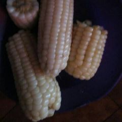 A picture of Boil maize.