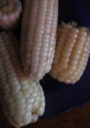 A picture of Boil maize.