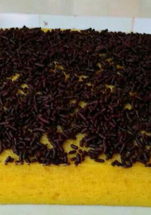 Foto resep Brownies labu kuning empuks anti gagal