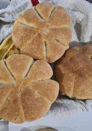 Une photo de Petits pains aux olives & aux herbes de Provence