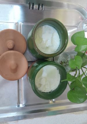عکسی از دستور ماست خانگی