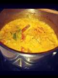 Spicey Chicken Curry