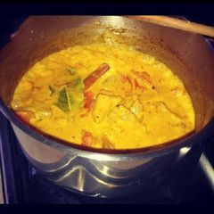 A picture of Spicey Chicken Curry.
