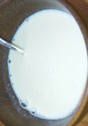 A picture of Hot Sake Lees Drink with Soy Milk (or Regular Milk).