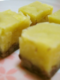A picture of Adzuki and Sweet Potato Yokan.