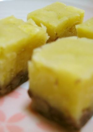 A picture of Adzuki and Sweet Potato Yokan.
