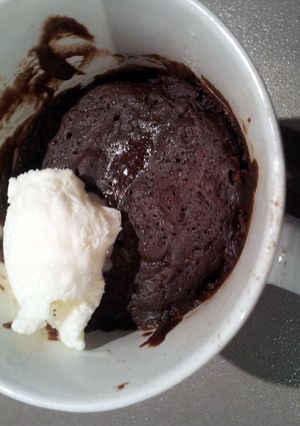 A picture of Brownie's In A Mug. ;).