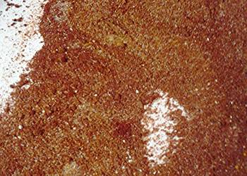 Fresh, Make Recipe Spice rub and coating Delicious Steady