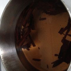 A picture of Canela.