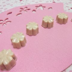 A picture of Sakura Mochi Chocolate.