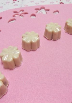 A picture of Sakura Mochi Chocolate.