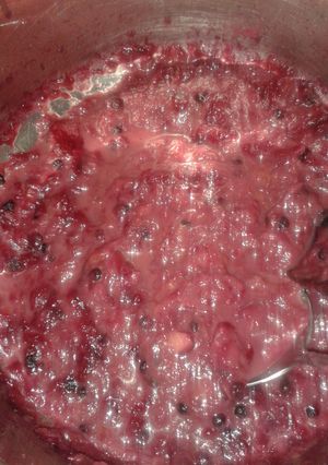 A picture of rhubarb blueberry sauce.
