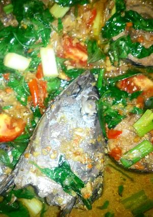 Foto resep Ikan Tongkol Woku