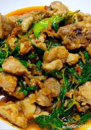 รูปของ ผัดเผ็ดไก่ V.ladiiproud