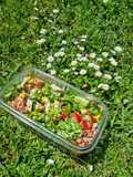 Ensaladita de primavera🌼